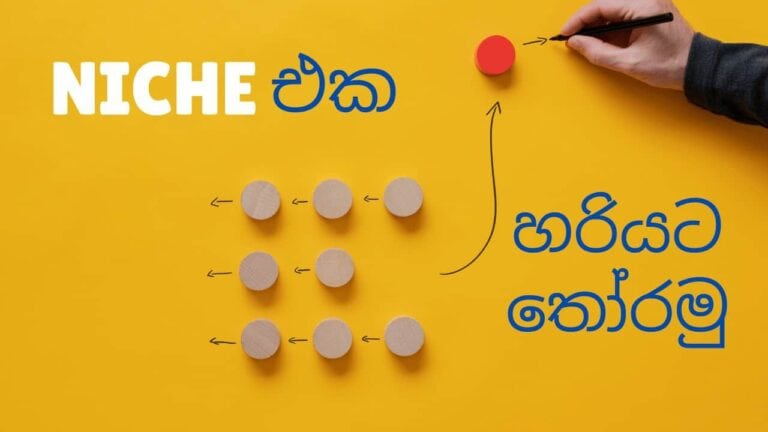 වරද්ද ගන්නේ නැතුව website එකක් හදන්න topic එකක් තෝරගමු