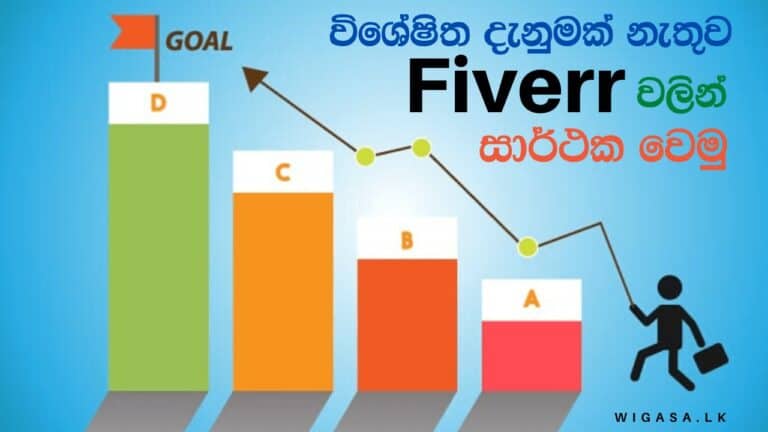 කිසිම වෘර්තීමය හැකියාවක් නැතුව Fiverr වලින් සාර්ථක වෙන්න බැරිද?